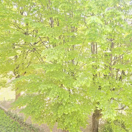 Apartamento Efde Gmbh *